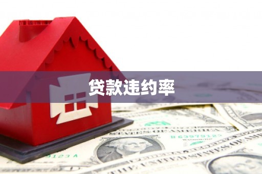 岷县贷款违约率