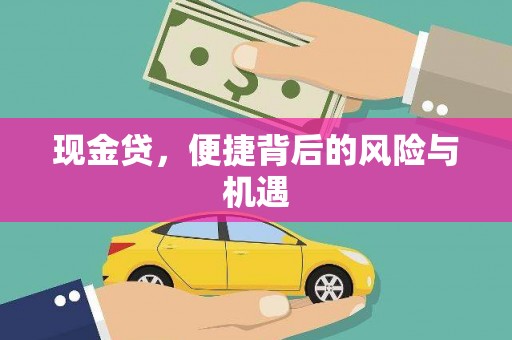 岷县现金贷，便捷背后的风险与机遇