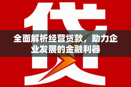 岷县全面解析经营贷款，助力企业发展的金融利器