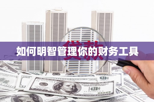 岷县如何明智管理你的财务工具