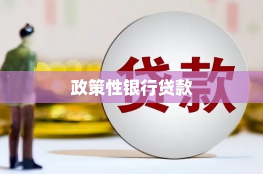 岷县政策性银行贷款