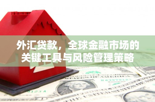 岷县外汇贷款，全球金融市场的关键工具与风险管理策略