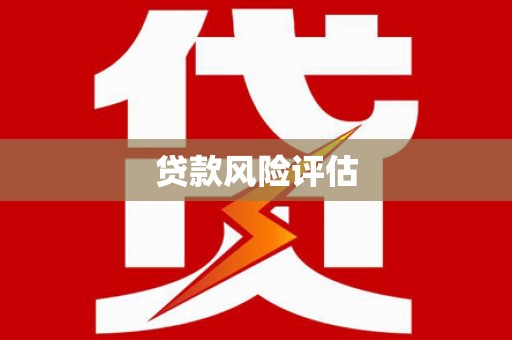 岷县贷款风险评估