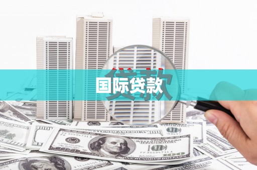 岷县国际贷款