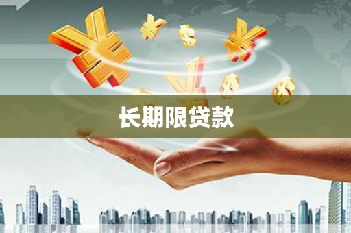 岷县长期限贷款