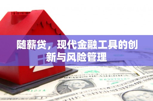 岷县随薪贷，现代金融工具的创新与风险管理