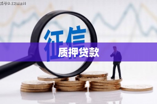 岷县质押贷款
