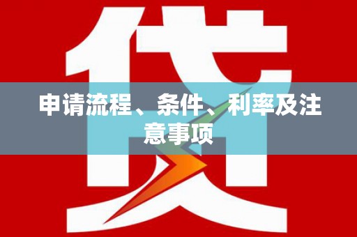 岷县申请流程、条件、利率及注意事项