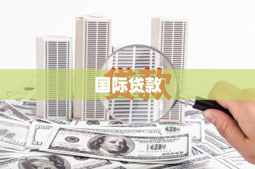 岷县国际贷款