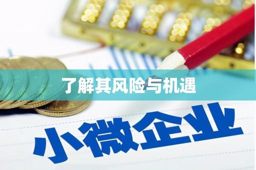 岷县了解其风险与机遇