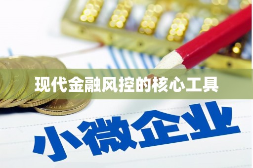 岷县现代金融风控的核心工具