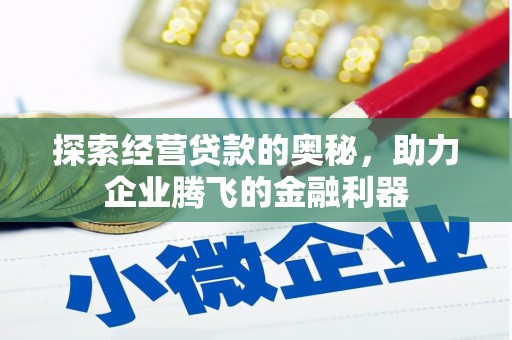 岷县探索经营贷款的奥秘，助力企业腾飞的金融利器