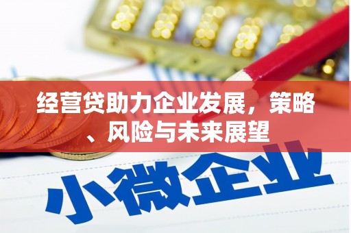 岷县经营贷助力企业发展，策略、风险与未来展望