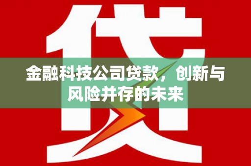 岷县金融科技公司贷款，创新与风险并存的未来