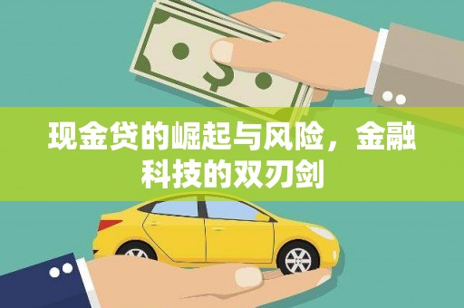 岷县现金贷的崛起与风险，金融科技的双刃剑
