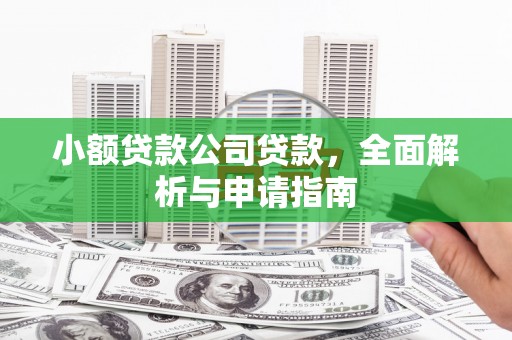 岷县小额贷款公司贷款，全面解析与申请指南