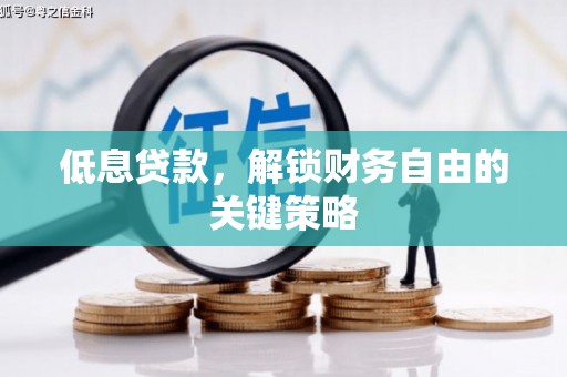 岷县低息贷款，解锁财务自由的关键策略
