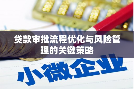 岷县贷款审批流程优化与风险管理的关键策略