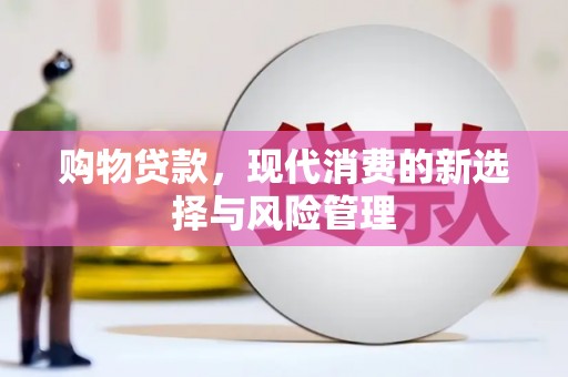 岷县购物贷款，现代消费的新选择与风险管理
