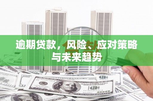 岷县逾期贷款，风险、应对策略与未来趋势