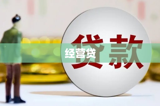 岷县经营贷