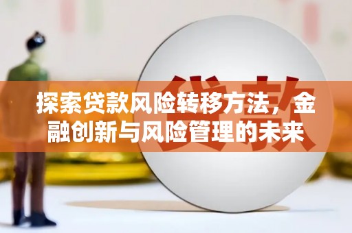 岷县探索贷款风险转移方法，金融创新与风险管理的未来
