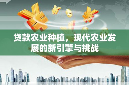 岷县贷款农业种植，现代农业发展的新引擎与挑战