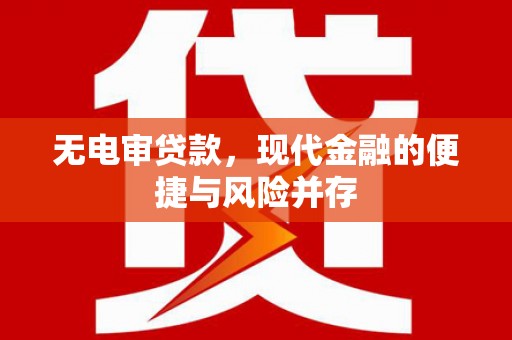 岷县无电审贷款，现代金融的便捷与风险并存