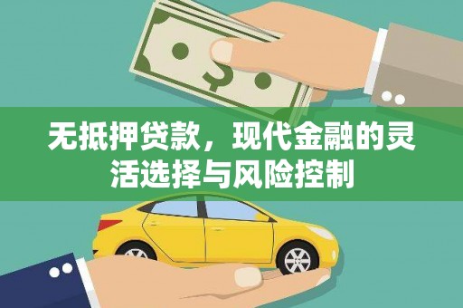 岷县无抵押贷款，现代金融的灵活选择与风险控制