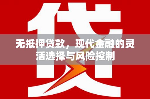 岷县无抵押贷款，现代金融的灵活选择与风险控制