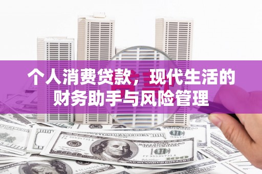 岷县个人消费贷款，现代生活的财务助手与风险管理