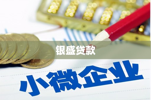 岷县银盛贷款