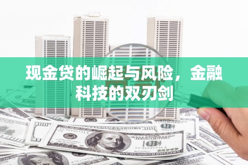 岷县现金贷的崛起与风险，金融科技的双刃剑