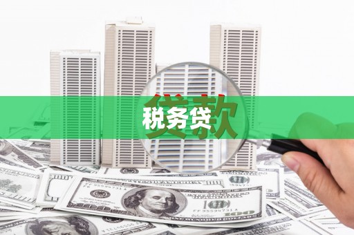 岷县税务贷