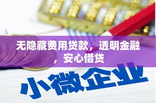 岷县无隐藏费用贷款，透明金融，安心借贷