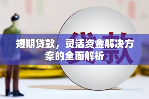 岷县短期贷款，灵活资金解决方案的全面解析
