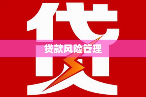 岷县贷款风险管理