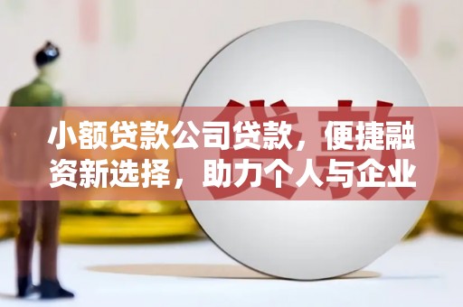 岷县小额贷款公司贷款，便捷融资新选择，助力个人与企业成长