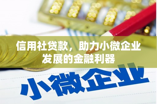 岷县信用社贷款，助力小微企业发展的金融利器
