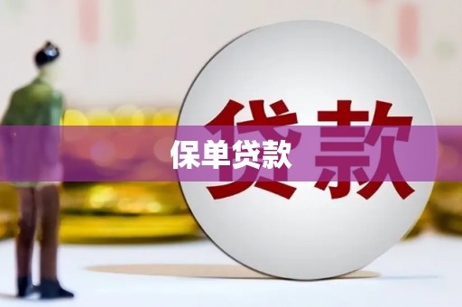 岷县保单贷款