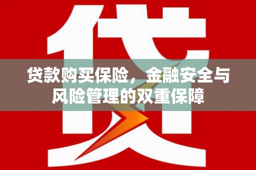 岷县贷款购买保险，金融安全与风险管理的双重保障