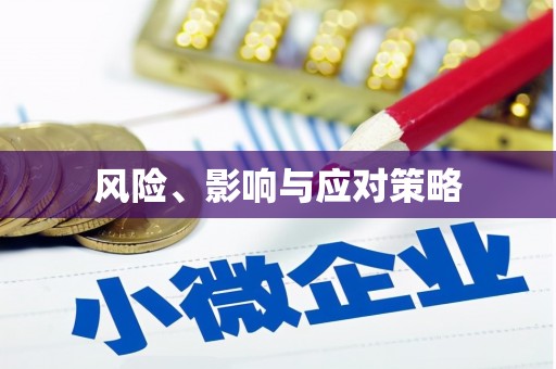 岷县风险、影响与应对策略