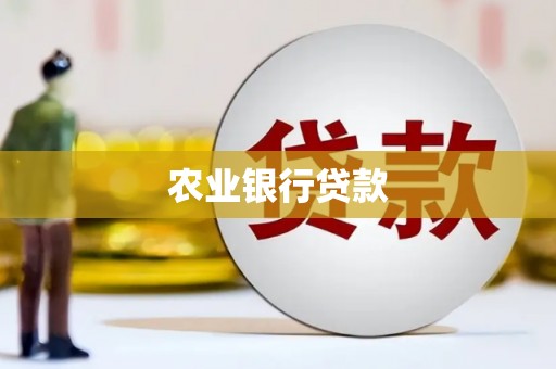 岷县农业银行贷款