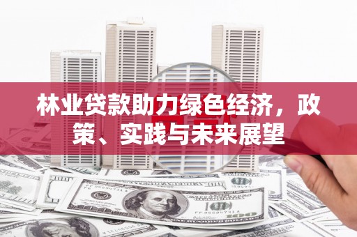 岷县林业贷款助力绿色经济，政策、实践与未来展望