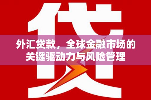 岷县外汇贷款，全球金融市场的关键驱动力与风险管理