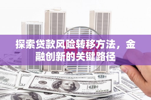 岷县探索贷款风险转移方法，金融创新的关键路径