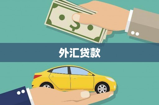 岷县外汇贷款
