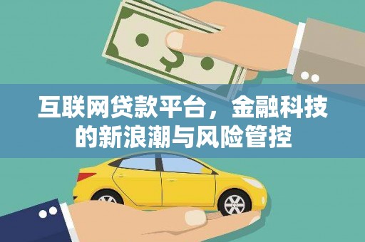 岷县互联网贷款平台，金融科技的新浪潮与风险管控