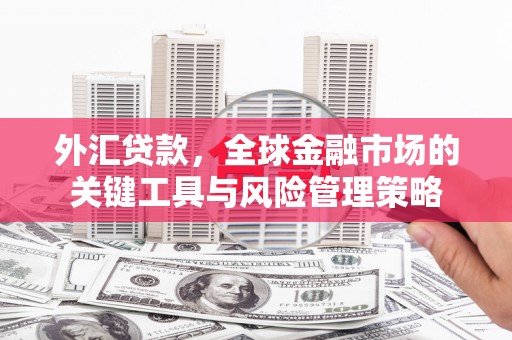 岷县外汇贷款，全球金融市场的关键工具与风险管理策略