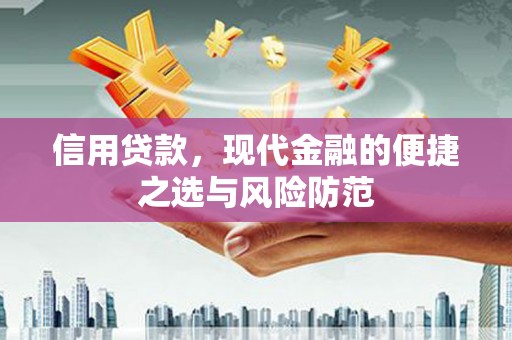 岷县信用贷款，现代金融的便捷之选与风险防范